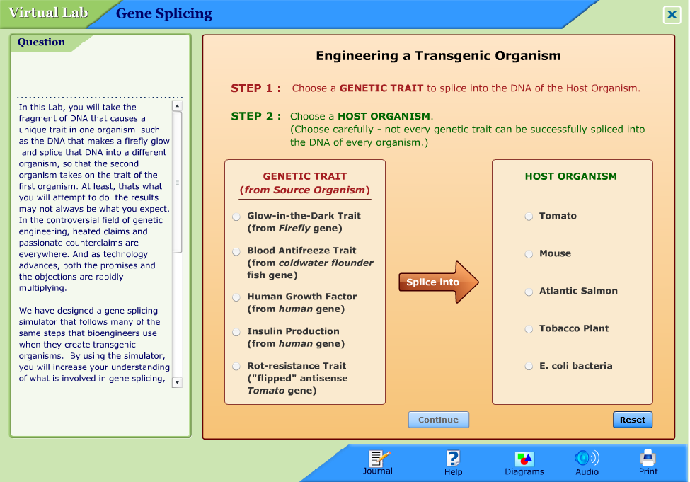 Gene Splicing