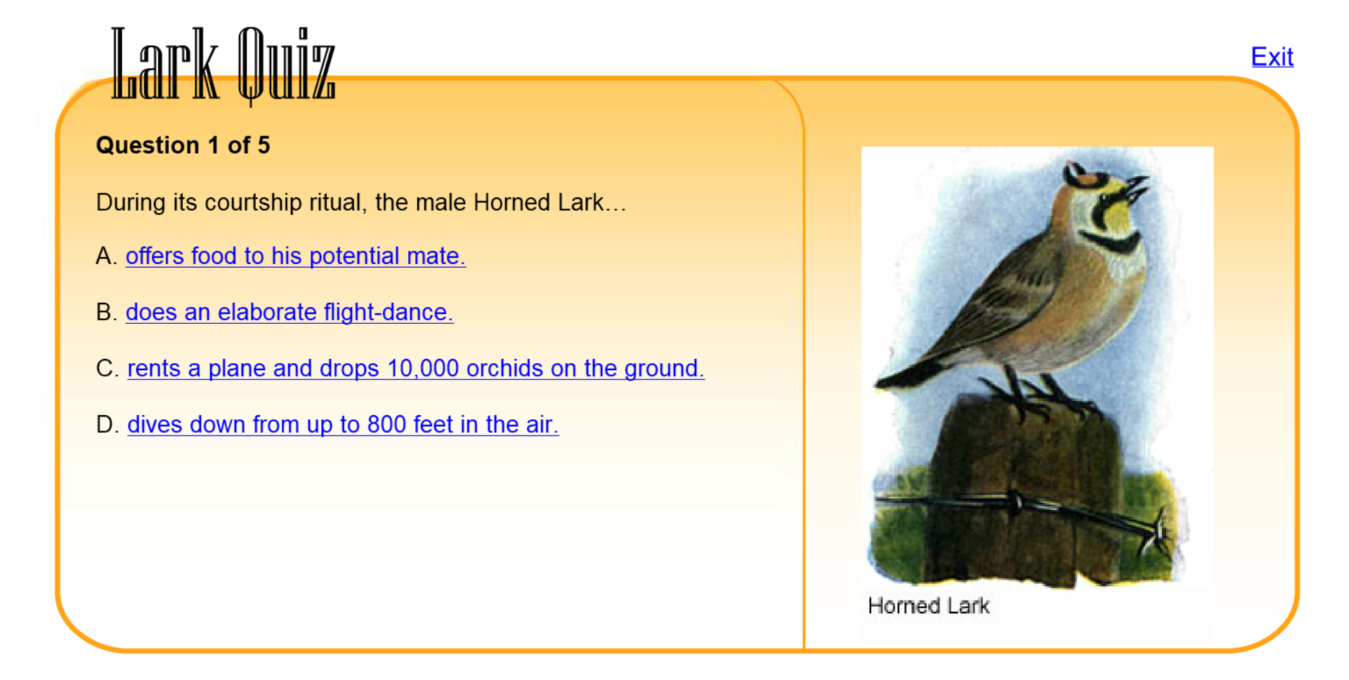 Lark Quiz