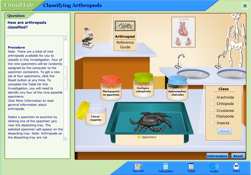 Classifying Arthropods