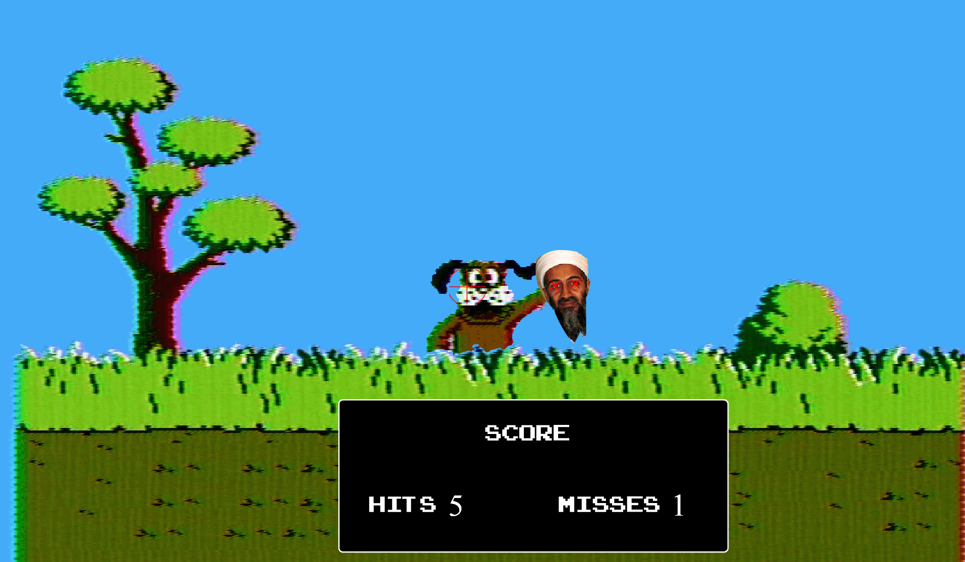 Bin Ladin Duck Hunt