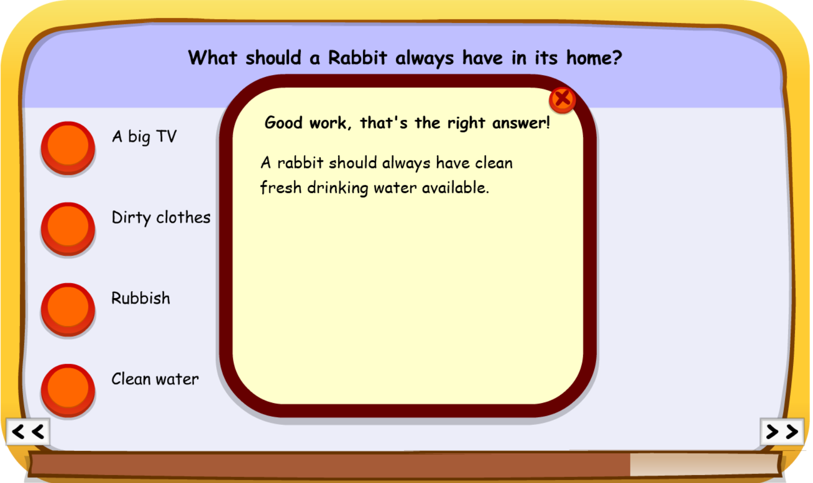 Rabbit Quiz