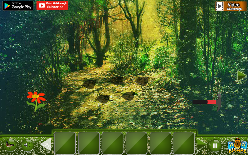 Forest Wood Duck Rescue