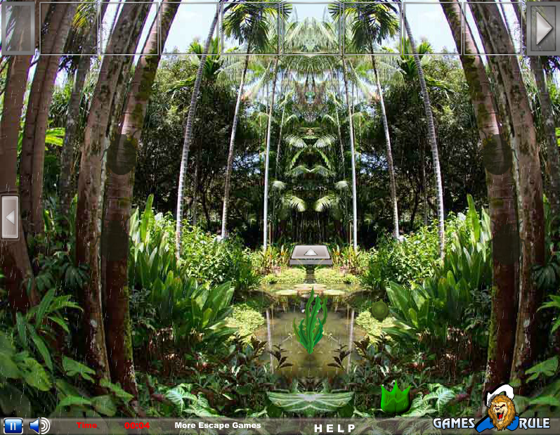 Amazon Rainforest Escape