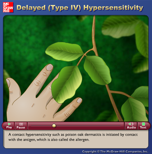 Delayed (Type IV) Hypersensitivity