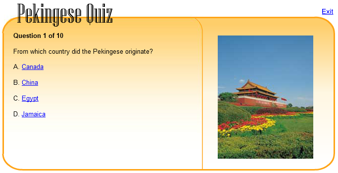 Pekingese Quiz