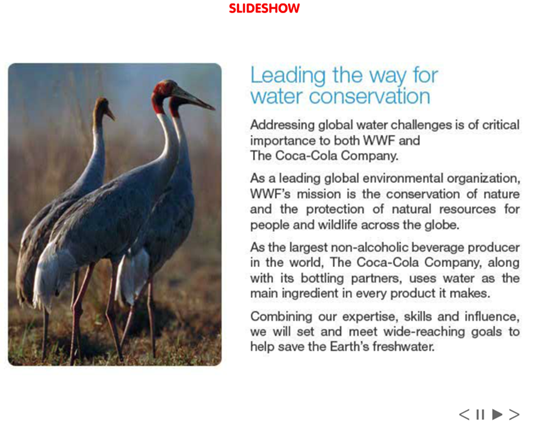 The Coca-Cola Company & World Wildlife Fund (WWF): The Goal Is Clear Slideshow