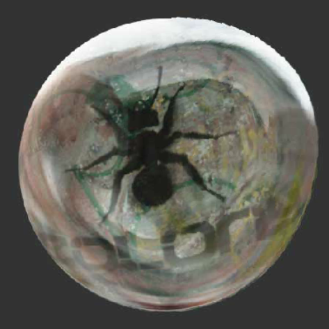 OurColony Orb