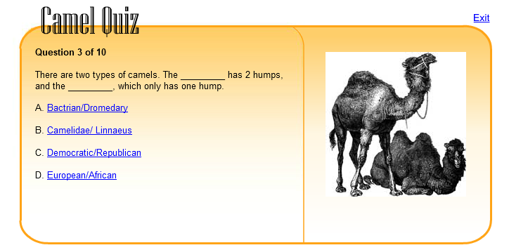 Camel Quiz