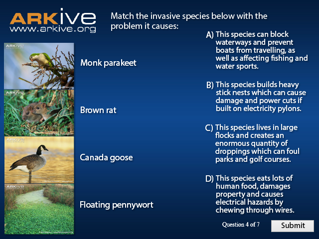 UK Invasive Species Quiz!