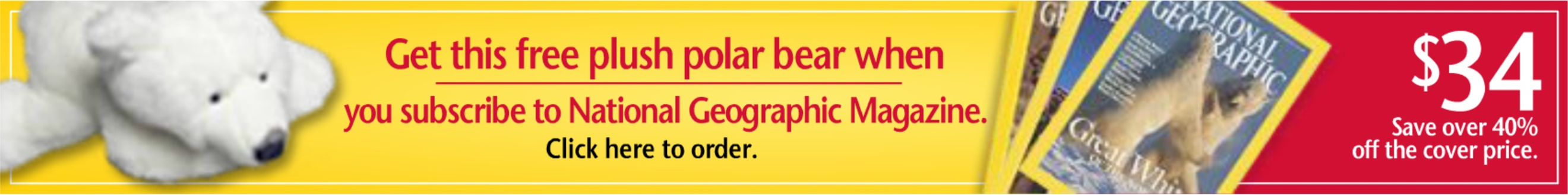 National Geographic February 2004 Banner Ad