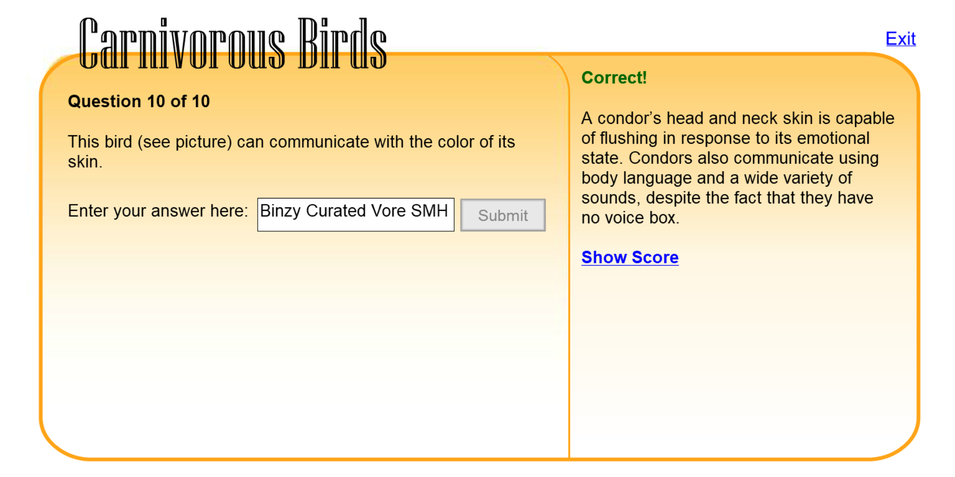 Carnivorous Birds Quiz