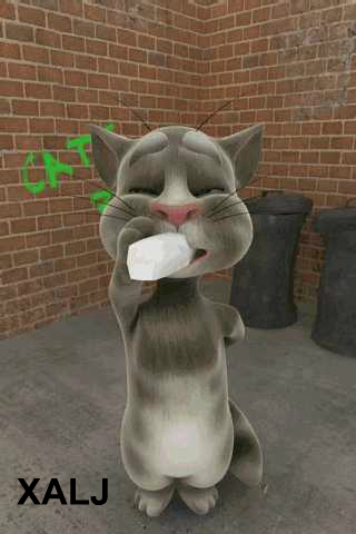 Talking Tom Cat