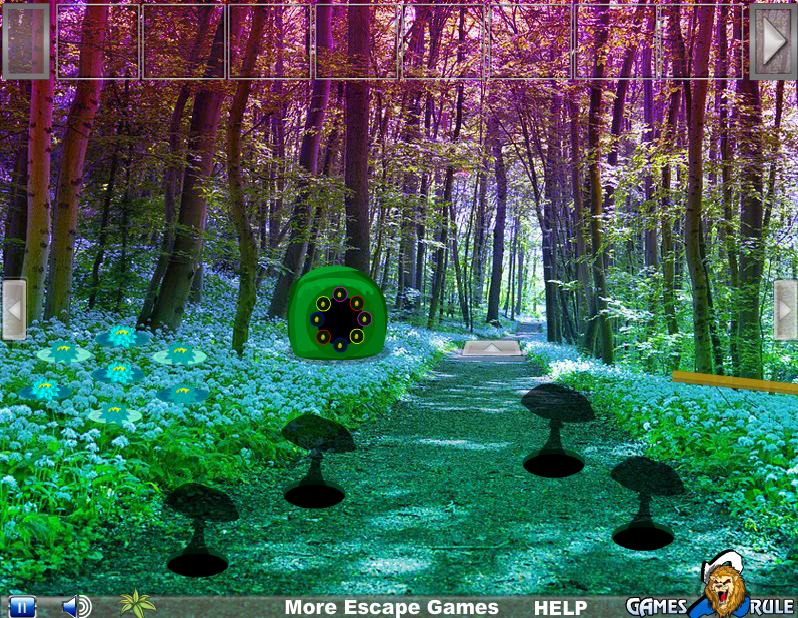 Broadleaf Forest Escape