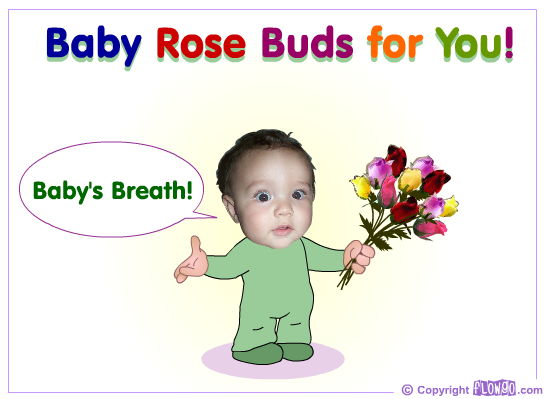 Baby Rose Buds for You!