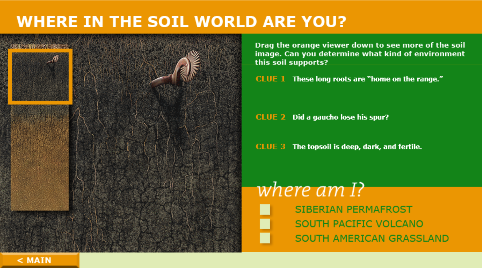 Where in the Soil World are you?