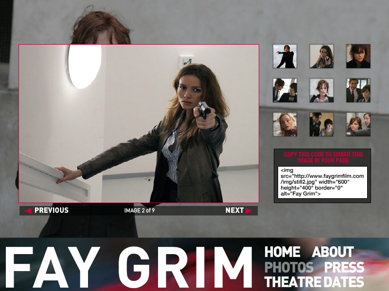 Fay Grim Microsite