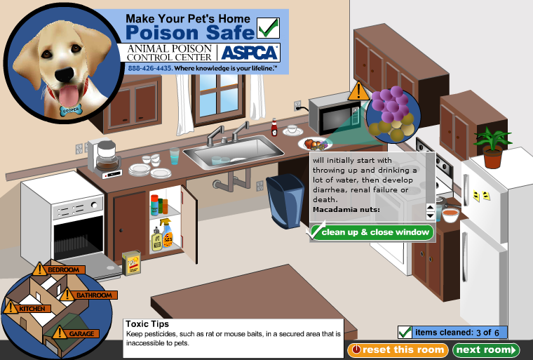 Make Your Pet's Home Poison Safe