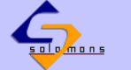 Solomon & Company: Logo