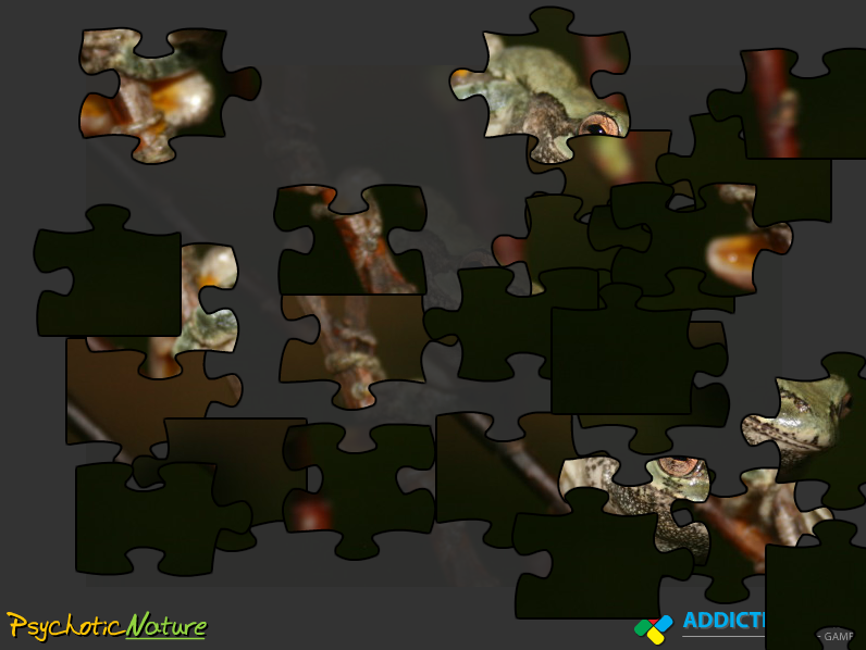 Gray Treefrog Jigsaw