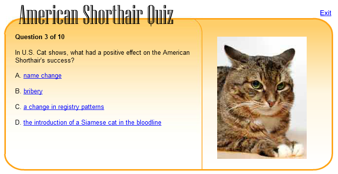 American Shorthair Quiz