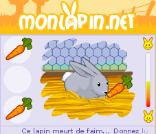 MonLapin.net - bannière 230x200