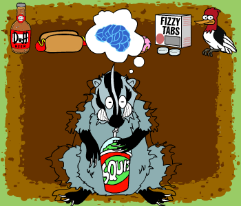 The Dietary Habits of the Badger (Taxedea Taxis)