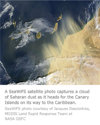 Corals See Red Slideshow