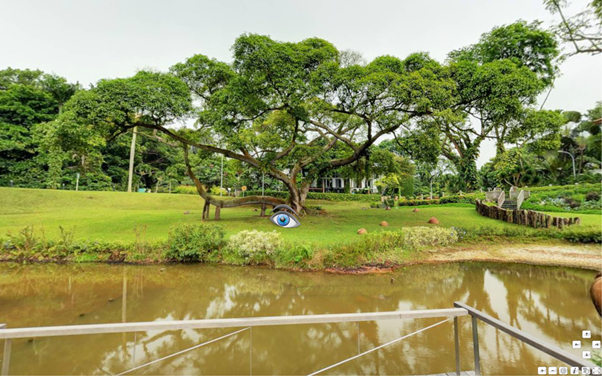 Sentosa - Heritage Tree Virtual Reality Image