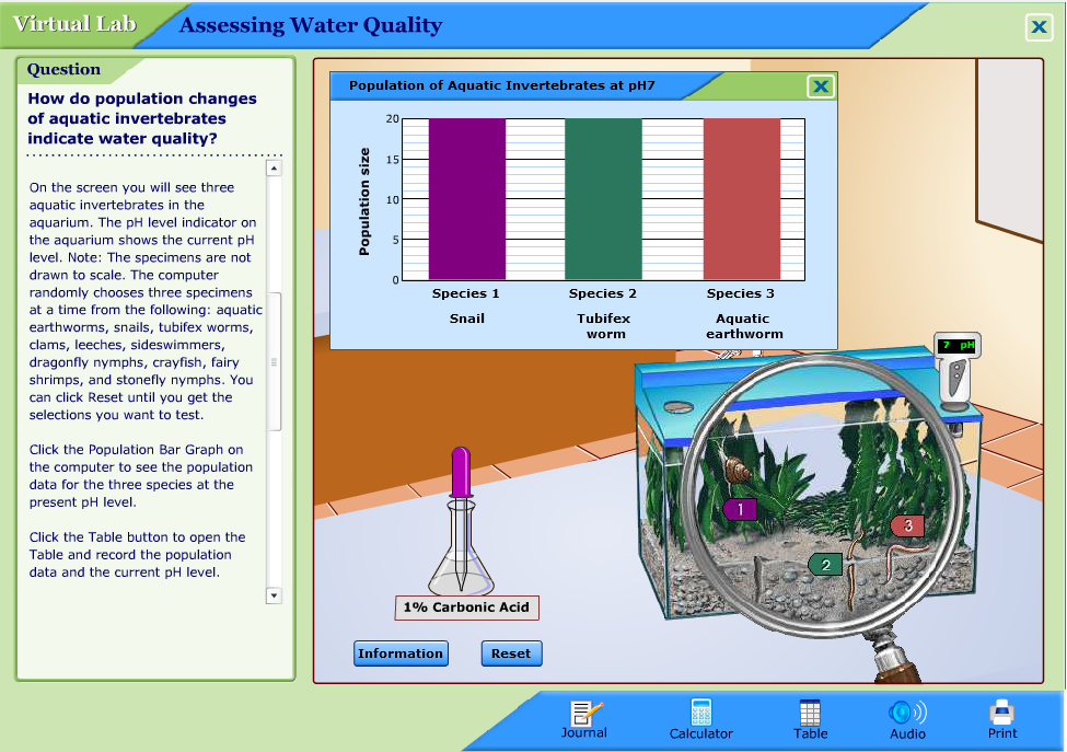 Assessing Water Quality