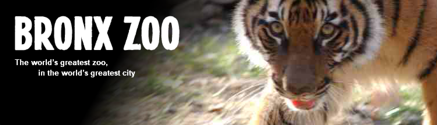 Bronx Zoo Banner