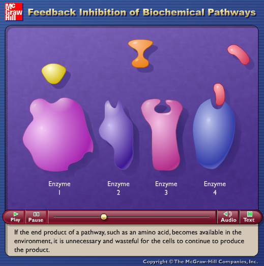 Feedback Inhibition of Biochemical Pathways