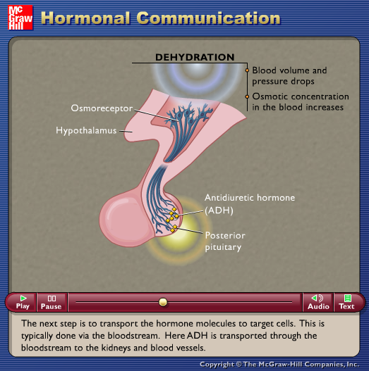 Hormonal Communication