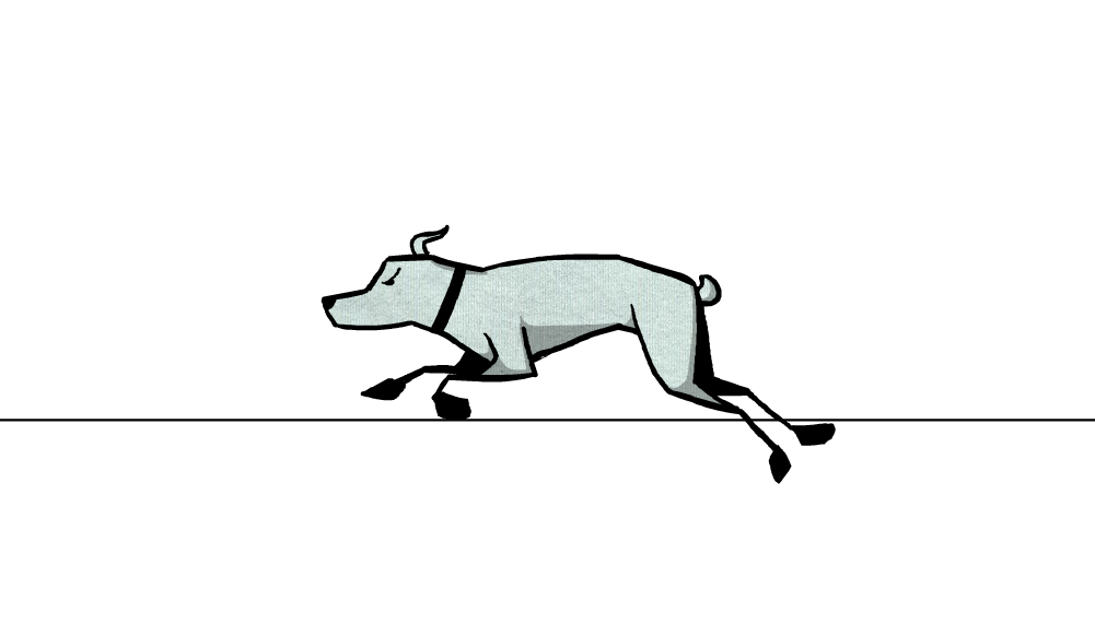 Rex Running