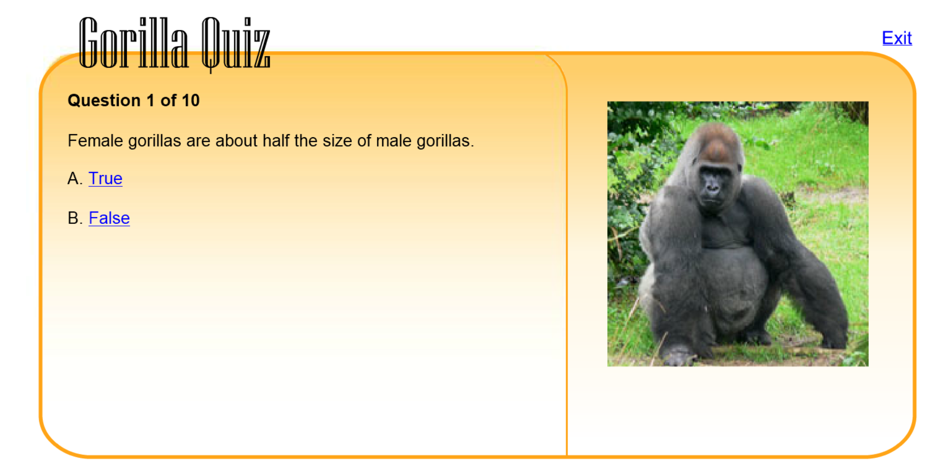 Gorilla Quiz