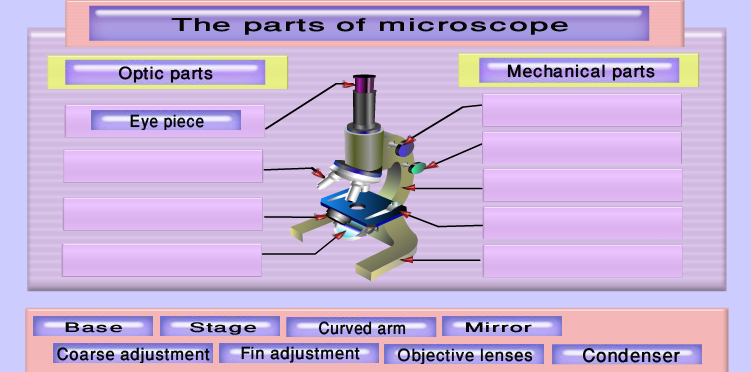 the microscope