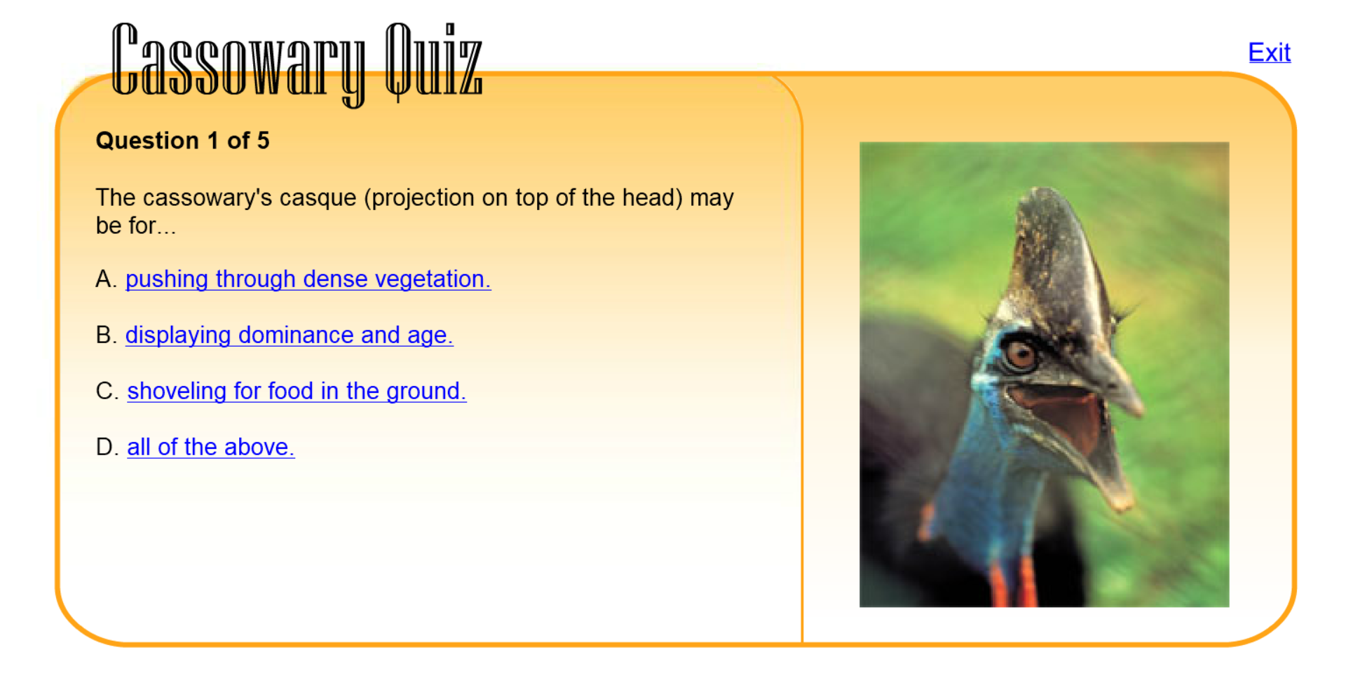 Cassowary Quiz