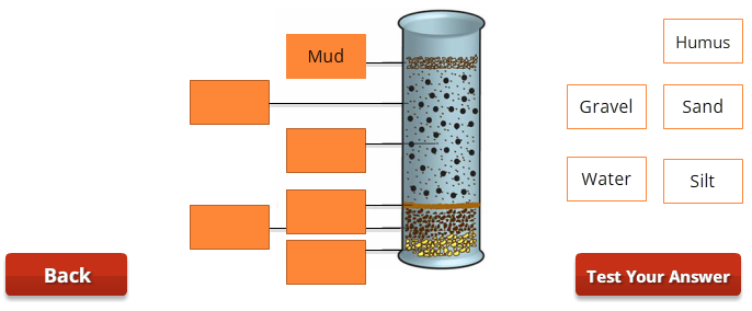 Soil Components