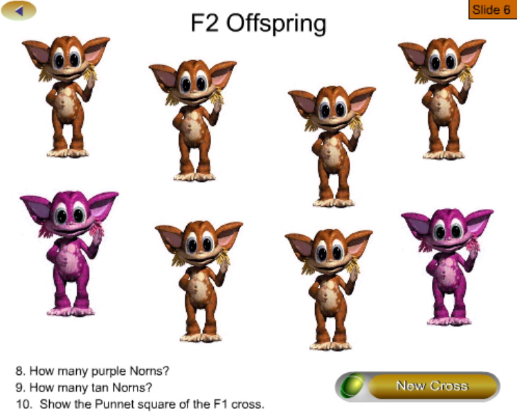 Simple Norn Genetics