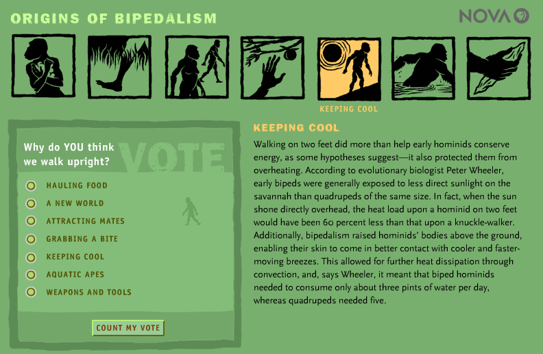 Origins of Bipedalism