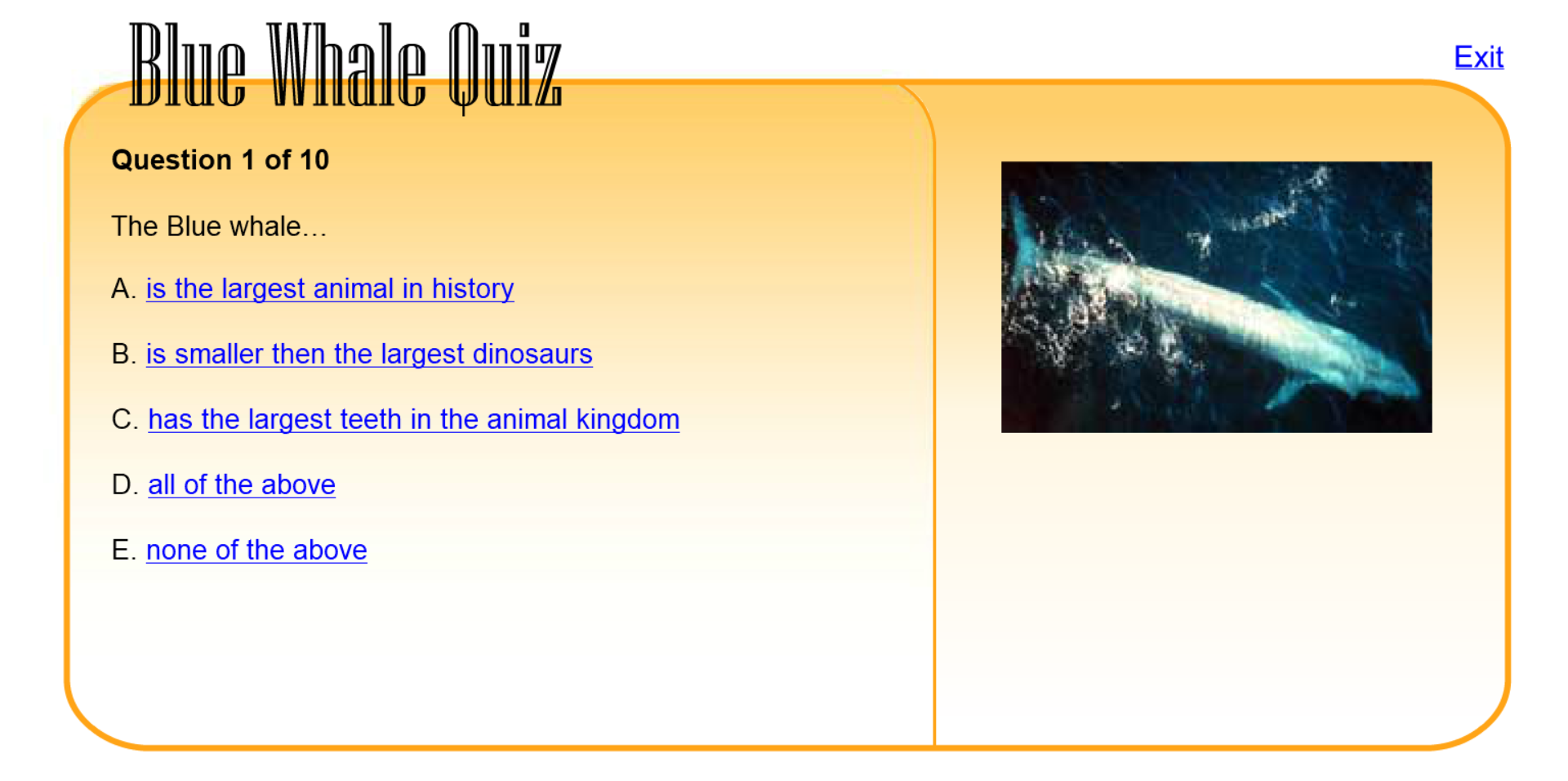 Blue Whale Quiz