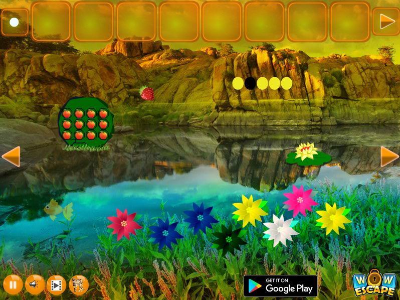 Save The Mountain Cheetah