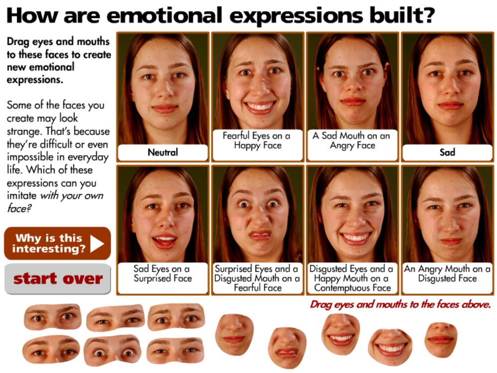 Mix and Match Emotions