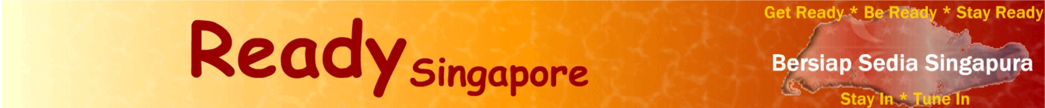 Ready Singapore 2005 Website Banner