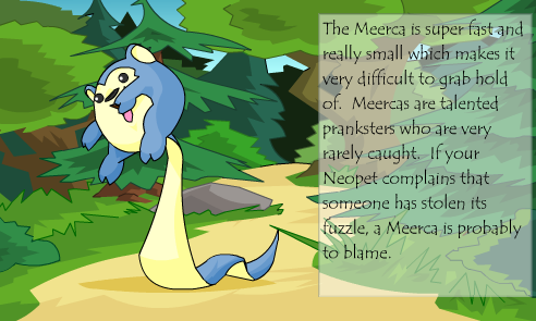 Neopet Preview: Meerca