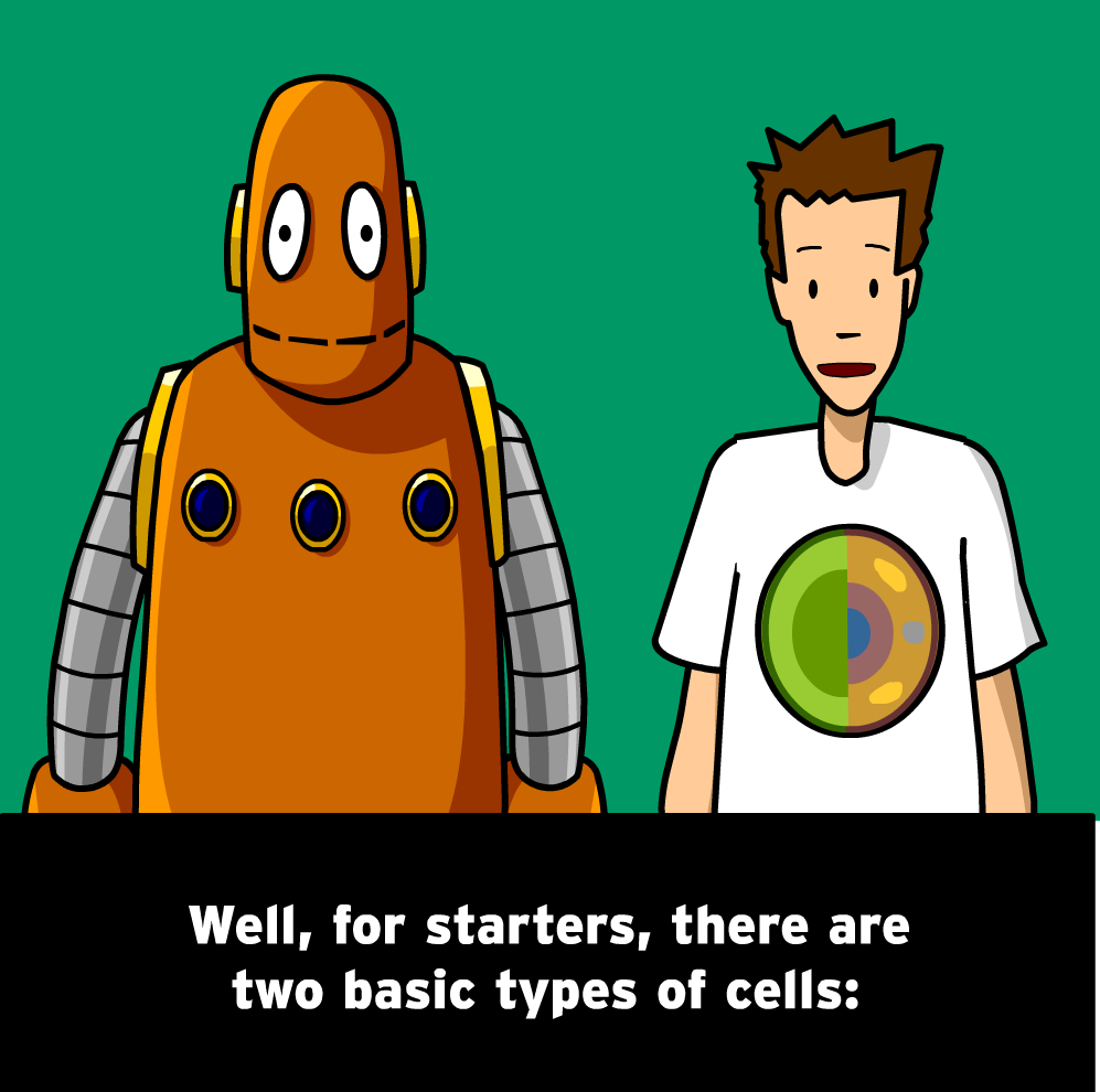 The Mysteries of Life With Tim & Moby: Cell Specialization