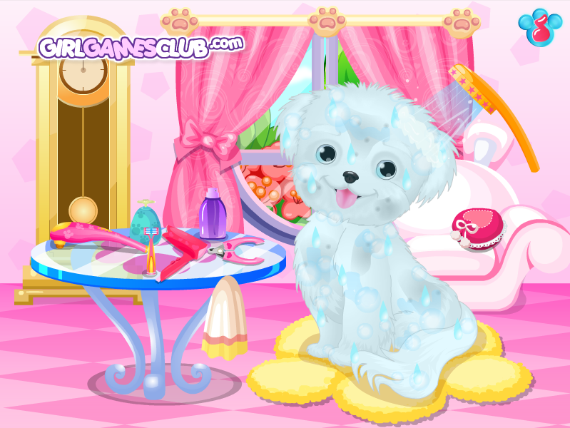 Cute Puppy Salon