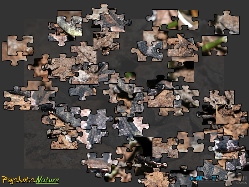 Cottonmouth Jigsaw