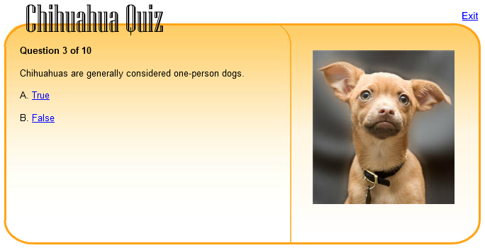 Chihuahua Quiz