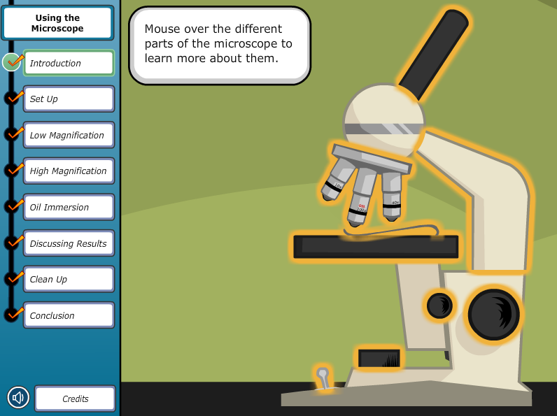 Virtual Labs: Using the Microscope