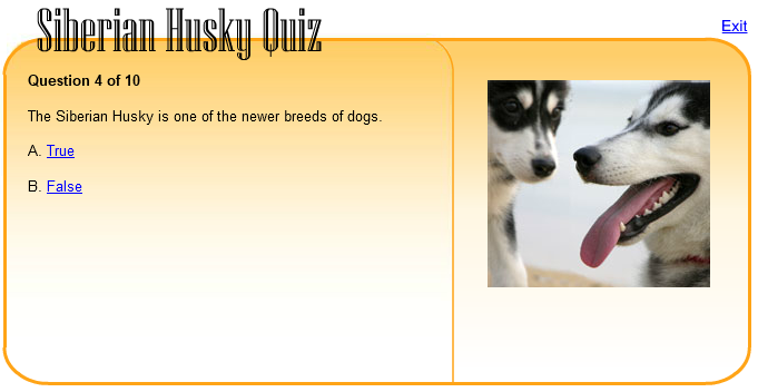 Siberian Huskey Quiz